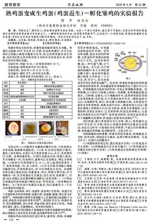 百度 第61页