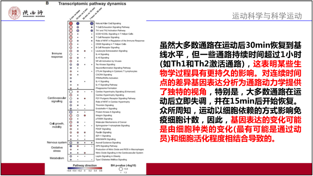 新澳2025最新资料大全与决策资料解释定义—AR94.463详解新澳2025最新资料大全,决策资料解释定义_AR94.463