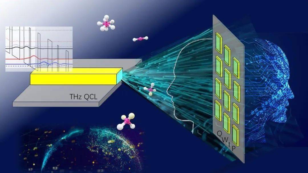 新澳2025最新资料大全与科学分析解析说明—幼儿园在安庆的发展展望新澳2025最新资料大全|科学分析解析说明 幼儿园 安庆.